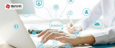 公司組織員工休息日培訓(xùn)，是否需要支付加班費(fèi)？——以辦公軟件服務(wù)為例